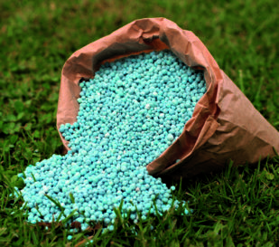 DAP Diammonium phosphate DAP Diammonium phosphate